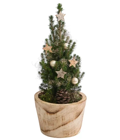 Geschmückter Weihnachtsbaum Loxley