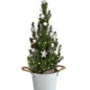 Geschmückter Weihnachtsbaum Linus, Mit Lichterkette, Ca. H50 Cm -Haus Pflanzen Welt 6202089 WE FS 001 WeihnachtsbaeumchenLinus17cmLED