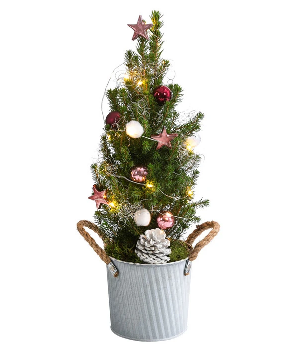 Geschmückter Weihnachtsbaum 'Linus', Mit Lichterkette, Ca. H50 Cm 3 Geschmückter Weihnachtsbaum 'Linus', Mit Lichterkette, Ca. H50 Cm