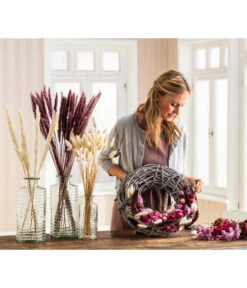 Trockenblumenbund Pampasgras -Haus Pflanzen Welt 6272587 WE MO 001 PampasgrasMauve Hasenschwanzgras