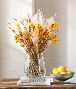 Trockenblumenbund Hasenschwanzgras, Gebleicht 10 Trockenblumenbund Hasenschwanzgras, Gebleicht -Haus Pflanzen Welt 6272595 WE MO 001 Trockenstrauss 1