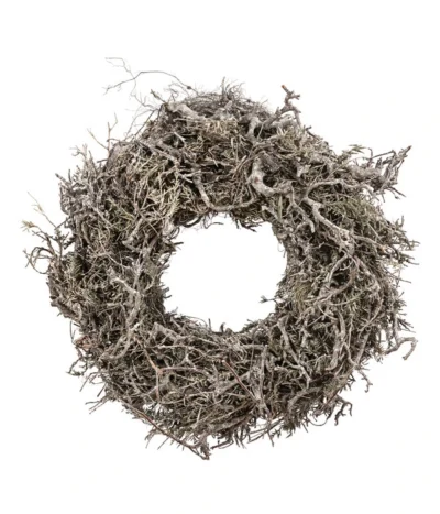 Dehner Kranz Bonsai Blato, Ca. Ø30 Cm