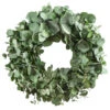 Dehner Kranz Eukalyptus, Grün, Ca. Ø40 Cm -Haus Pflanzen Welt 6279830 WE FS 001 KranzEucalyptusEF