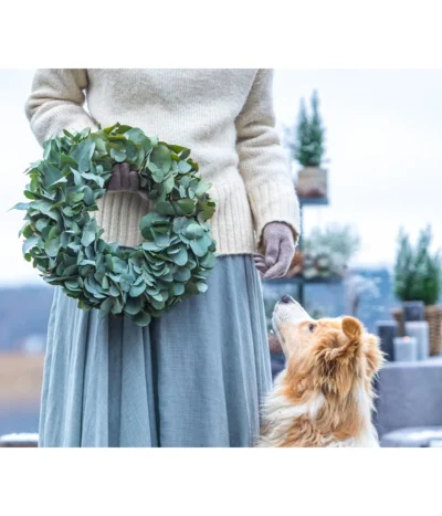 Dehner Kranz Eukalyptus, Grün, Ca. Ø40 Cm -Haus Pflanzen Welt 6279830 WE MO 001 EukalyptusKranz 03