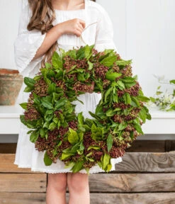 Dehner Kranz Viburnum, Ca. Ø36 Cm -Haus Pflanzen Welt 6279848 WE MO 001 KranzViburnum