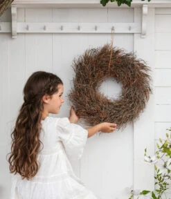 Dehner Kranz Spinosa, Ca. Ø36 Cm 5 Dehner Kranz Spinosa, Ca. Ø36 Cm -Haus Pflanzen Welt 6279889 WE MO 001 KranzSpinosaKranzDesMonats