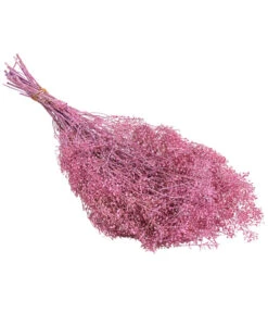 Trockenblumenbund Lupidium, Hellrosa