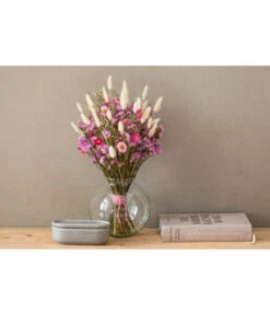 Trockenblumenbund Hasenschwanzgras, Gebleicht 11 Trockenblumenbund Hasenschwanzgras, Gebleicht -Haus Pflanzen Welt 6284087 PR MO 001 HasenschwanzgrasGebleicht