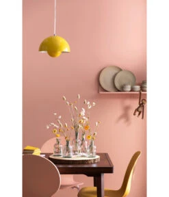 Trockenblumenbund Glanzgras, Natur -Haus Pflanzen Welt 6284178 PR MO 001 Trockenblumen