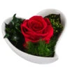 Dehner Herzschale Mit Longlife-Rose Lena, Ca. B12/H8 Cm -Haus Pflanzen Welt 6380901 WE FS 004 LLHerzLenaROT