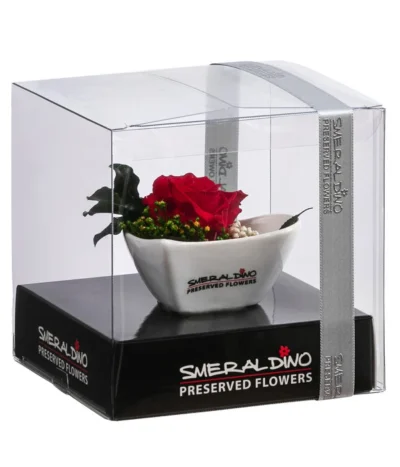 Dehner Herzschale Mit Longlife-Rose Aneta, Ca. B8/H5 Cm -Haus Pflanzen Welt 6380919 WE FS 002 LLHerzAnetaROT