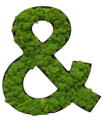 StyleGREEN Sonderzeichen 'Und' Aus Islandmoos, Ca. B20/H25/T3,5 Cm