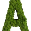 StyleGREEN Buchstaben Aus Islandmoos, Ca. H25 Cm -Haus Pflanzen Welt 6429435 WE FS 001 BuchstabeIslandmoosA
