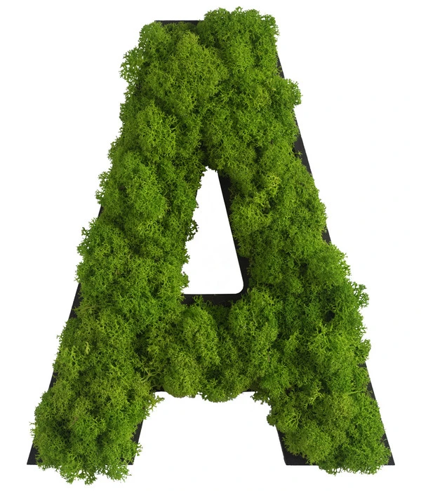 StyleGREEN Buchstaben Aus Islandmoos, Ca. H25 Cm 3 StyleGREEN Buchstaben Aus Islandmoos, Ca. H25 Cm