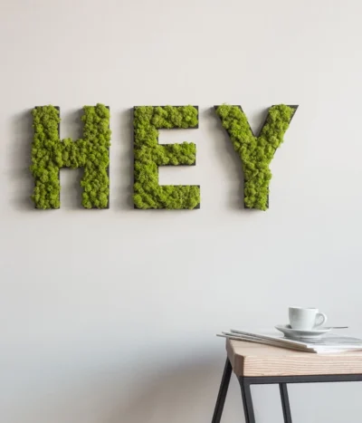 StyleGREEN Buchstaben Aus Islandmoos, Ca. H25 Cm 11 StyleGREEN Buchstaben Aus Islandmoos, Ca. H25 Cm -Haus Pflanzen Welt 6429435 WE MO 003 BuchstabenIslandmoosHey