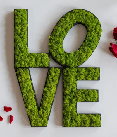 StyleGREEN Buchstaben Aus Islandmoos, Ca. H25 Cm 12 StyleGREEN Buchstaben Aus Islandmoos, Ca. H25 Cm -Haus Pflanzen Welt 6429435 WE MO 007 BuchstabenIslandmoosLove