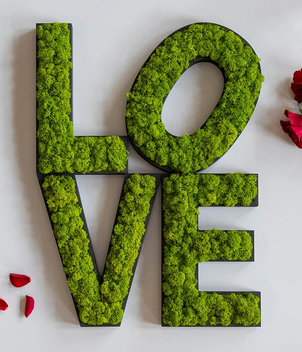 StyleGREEN Buchstaben Aus Islandmoos, Ca. H25 Cm 6 StyleGREEN Buchstaben Aus Islandmoos, Ca. H25 Cm – Bild 4