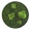 StyleGREEN Bild Aus Wald- Und Kugelmoos, Kreisförmig, Ca. Ø34 Cm -Haus Pflanzen Welt 6429765 WE FS 001 Wald KugelmoosbildD34cm