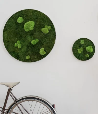 StyleGREEN Bild Aus Wald- Und Kugelmoos, Kreisförmig, Ca. Ø80 Cm -Haus Pflanzen Welt 6429781 WE MO 001 Wald KugelmoosbildD80cm