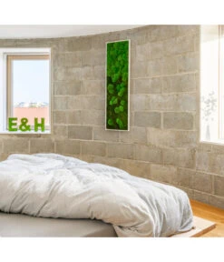 StyleGREEN Bild Aus Wald- Und Kugelmoos Im Verlauf, Ca. B140/H40/T7 Cm -Haus Pflanzen Welt 6429799 PR MO 001 Wald Kugelmoosbild140x40cm