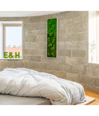 StyleGREEN Bild Aus Wald- Und Kugelmoos Im Verlauf, Ca. B140/H40/T7 Cm -Haus Pflanzen Welt 6429799 PR MO 001 Wald Kugelmoosbild140x40cm