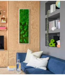 StyleGREEN Bild Aus Wald- Und Kugelmoos Im Verlauf, Ca. B140/H40/T7 Cm -Haus Pflanzen Welt 6429799 PR MO 002 Wald Kugelmoosbild140x40cm