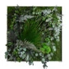 StyleGREEN Bild Im Dschungeldesign, Quadratisch, Ca. B80/H80/T20 Cm -Haus Pflanzen Welt 6429831 WE FS 001 Pflanzenbild80x80cm