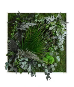 StyleGREEN Bild Im Dschungeldesign, Quadratisch, Ca. B80/H80/T20 Cm