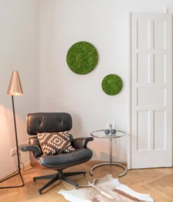 StyleGREEN Bild Aus Kugelmoos, Ellipsoid, Ca. Ø54 Cm -Haus Pflanzen Welt 6429963 WE MO 001 KugelmoosEllipsoid54cmStylegreen