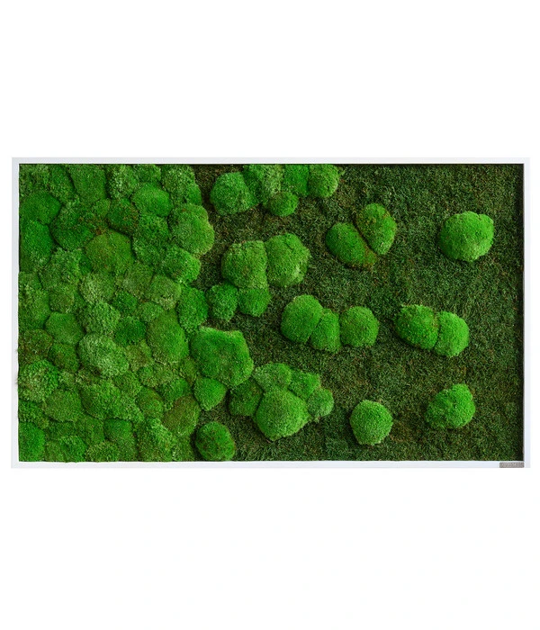 StyleGREEN Bild Aus Wald- Und Kugelmoos Im Verlauf, Ca. B100/H60/T7 Cm 3 StyleGREEN Bild Aus Wald- Und Kugelmoos Im Verlauf, Ca. B100/H60/T7 Cm