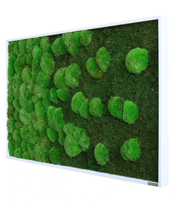 StyleGREEN Bild Aus Wald- Und Kugelmoos Im Verlauf, Ca. B100/H60/T7 Cm 4 StyleGREEN Bild Aus Wald- Und Kugelmoos Im Verlauf, Ca. B100/H60/T7 Cm – Bild 2