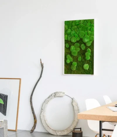 StyleGREEN Bild Aus Wald- Und Kugelmoos Im Verlauf, Ca. B100/H60/T7 Cm 8 StyleGREEN Bild Aus Wald- Und Kugelmoos Im Verlauf, Ca. B100/H60/T7 Cm -Haus Pflanzen Welt 6430631 WE MO 002 Wald Kugelmoosbild100x60cmStylegreen