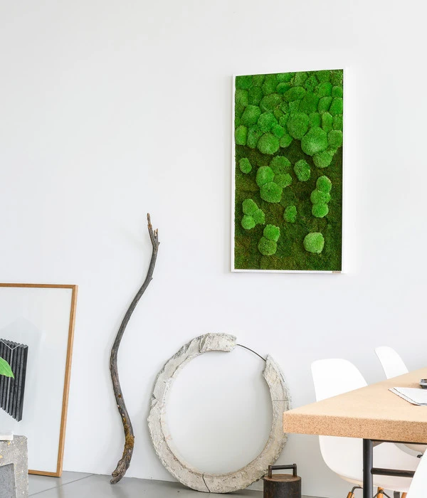 StyleGREEN Bild Aus Wald- Und Kugelmoos Im Verlauf, Ca. B100/H60/T7 Cm 5 StyleGREEN Bild Aus Wald- Und Kugelmoos Im Verlauf, Ca. B100/H60/T7 Cm – Bild 3