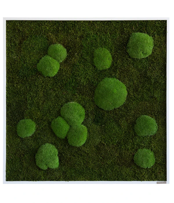 StyleGREEN Bild Aus Wald- Und Kugelmoos, Quadratisch, Ca. B80/H80/T7 Cm 3 StyleGREEN Bild Aus Wald- Und Kugelmoos, Quadratisch, Ca. B80/H80/T7 Cm