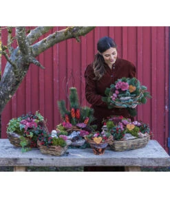 Grabgesteck In Liebe, Rund, Ø20/H20 Cm -Haus Pflanzen Welt 6462857 WE MO 002 SerieInLiebePremiumAllerheiligen202301 5