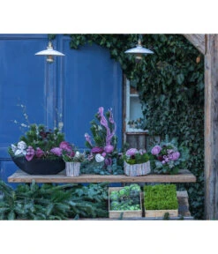 Grabgesteck Unvergessen, Ca. B60/H60/T40 Cm 7 Grabgesteck Unvergessen, Ca. B60/H60/T40 Cm -Haus Pflanzen Welt 6462931 WE MO 001 SerieUnvergessenPremiumAllerheiligen2023 3