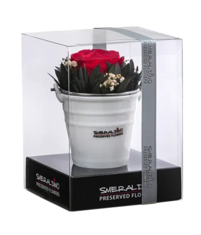 Dehner Arrangement Mit Longlife-Rose Ida, Rot, Ca. Ø7,5/H15 Cm -Haus Pflanzen Welt 6536841 WE FS 001 LLArrangIdaRot