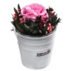 Dehner Arrangement Mit Longlife-Rose Ida, Rosa, Ca. Ø7,5/H15 Cm -Haus Pflanzen Welt 6536858 WE FS 002 LLArrangIdaRosa