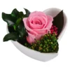 Dehner Herzschale Mit Longlife-Rose Aneta, Rosa, Ca. B7/H5 Cm -Haus Pflanzen Welt 6537641 WE FS 002 LL HerzAnetaROSA