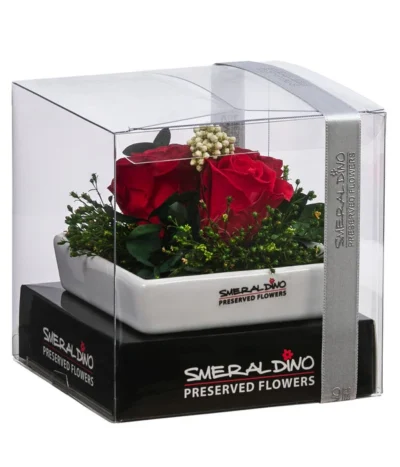 Dehner Keramik-Schale Mit Longlife-Rose Zina, Rot, Ca. B10/H7/T10 Cm -Haus Pflanzen Welt 6537658 WE FS 001 LLSchaleZinaROT