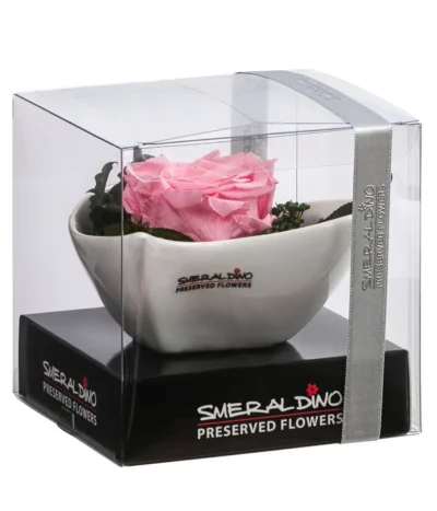 Dehner Herzschale Mit Longlife-Rose Lena, Rosa, Ca. B11/H7 Cm -Haus Pflanzen Welt 6537666 WE FS 001 LL HerzLenaROSA