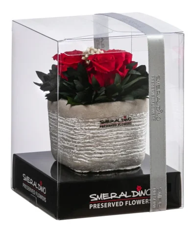 Dehner Arrangement Mit Longlife-Rose Ina Light, Rot, Ca. B8/H10/T8 Cm -Haus Pflanzen Welt 6537674 WE FS 001 LL InaLightRot