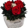 Dehner Arrangement Mit Longlife-Rose Ina Light, Rot, Ca. B8/H10/T8 Cm -Haus Pflanzen Welt 6537674 WE FS 002 LL InaLightRot