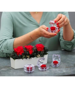 Dehner Keramik-Jardiniere Mit Longlife-Rose Elen, Rot, Ca. B23/H11/T7 Cm -Haus Pflanzen Welt 6537724 WE MO 001 LonglifeArrangementElenRot ImageBild Content