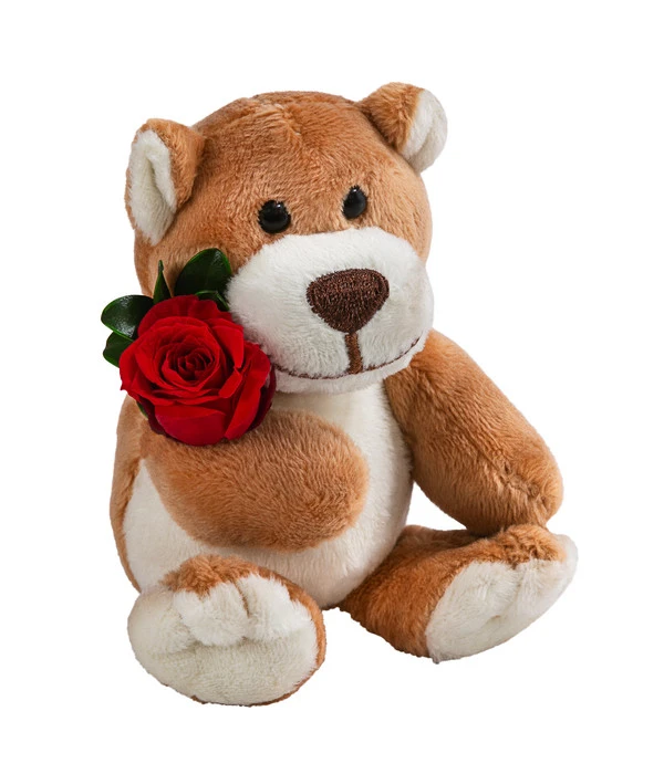 Dehner Kuschelbär Mit Longlife-Rose, Ca. B6/H10 Cm 3 Dehner Kuschelbär Mit Longlife-Rose, Ca. B6/H10 Cm