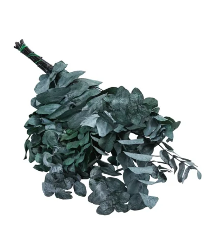 Trockenblumenbund Eukalyptus, Dunkelgrün