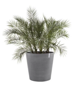 Ecopots Kunststoff-Topf Amsterdam Mit Rollen, Rund -Haus Pflanzen Welt 6614283 WE FS 002 EcopotsKunststoffTopfAmsterdammitRollenrund