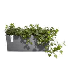 Ecopots Kunststoff-Kasten Bruges Hängend, Rechteckig, Grau, Ca. B55/H21/T20 Cm -Haus Pflanzen Welt 6614416 WE FS 003 EcopotsKunststoffKastenBrugeshaengendrechteckiggrau