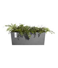 Ecopots Kunststoff-Kasten Bruges Hängend, Rechteckig, Grau, Ca. B55/H21/T20 Cm -Haus Pflanzen Welt 6614416 WE FS 004 EcopotsKunststoffKastenBrugeshaengendrechteckiggrau
