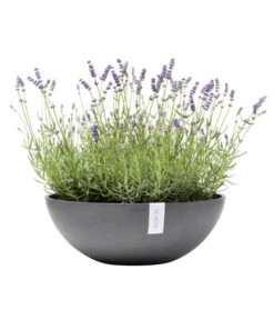 Ecopots Kunststoff-Topf Vienna, Rund, Grau, Ca. Ø50/H18 Cm 10 Ecopots Kunststoff-Topf Vienna, Rund, Grau, Ca. Ø50/H18 Cm -Haus Pflanzen Welt 6614457 WE FS 002 EcopotsKunststoffTopfViennarundgrau